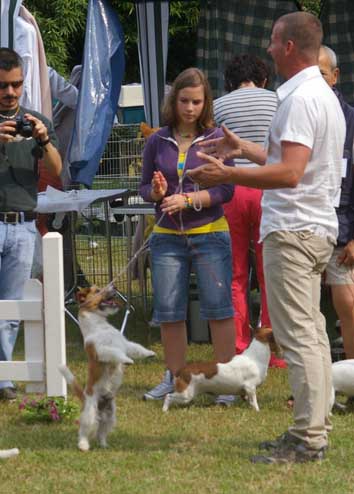 Esposizione Nazionale Canina di Laveno - CAC, 02 Agosto 2009. - Pagina 3 Yuppi411