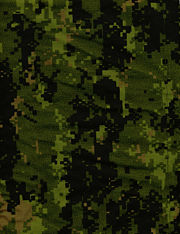 CAMOUFLAGE(MILITAIRE) 180px-20