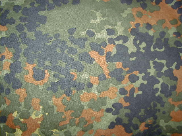 CAMOUFLAGE(MILITAIRE) Fleckt11