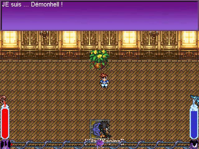 Screen de bug Demonh11
