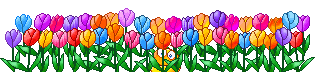 Quotes of the day - Page 5 Tulips10