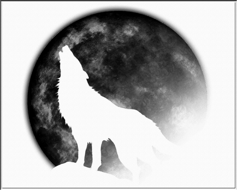 galeries des loups Loup_b10