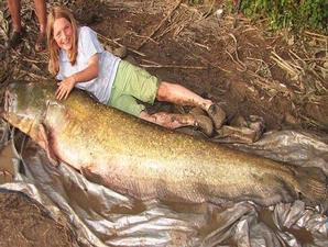 Mancing Kok Dapat Lele Raksasa Sepanjang 2,75 Meter 10p0nl10