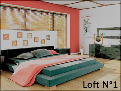 Logement de D.Hewlet Loft-110