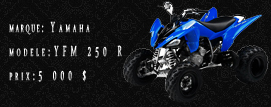 Listing motos/quads Voit228