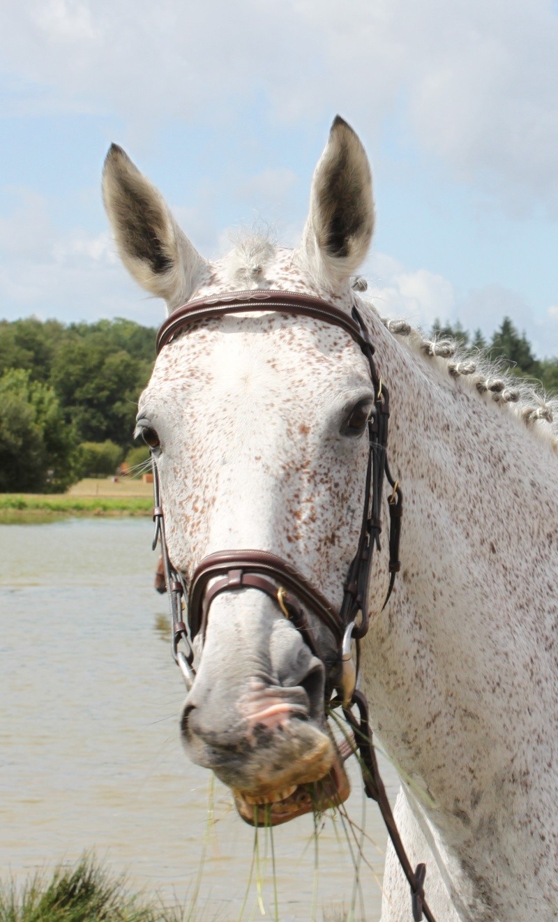 Cours 2 : Jahina De Chezelles Img_0314