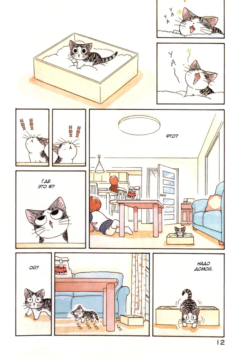 Chi's Sweet Home/Любимый дом котенка Пи-Пи 01-01210