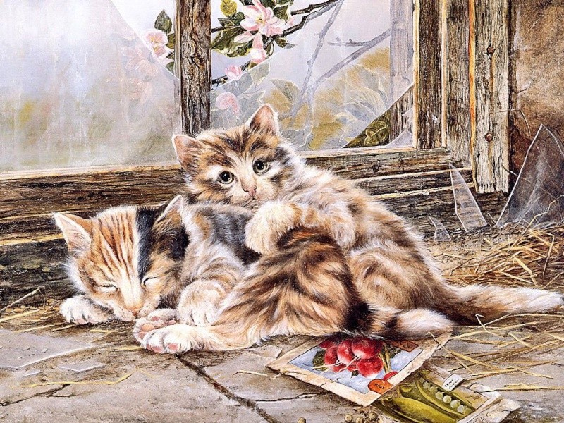 Нарисованные коты Cats-011