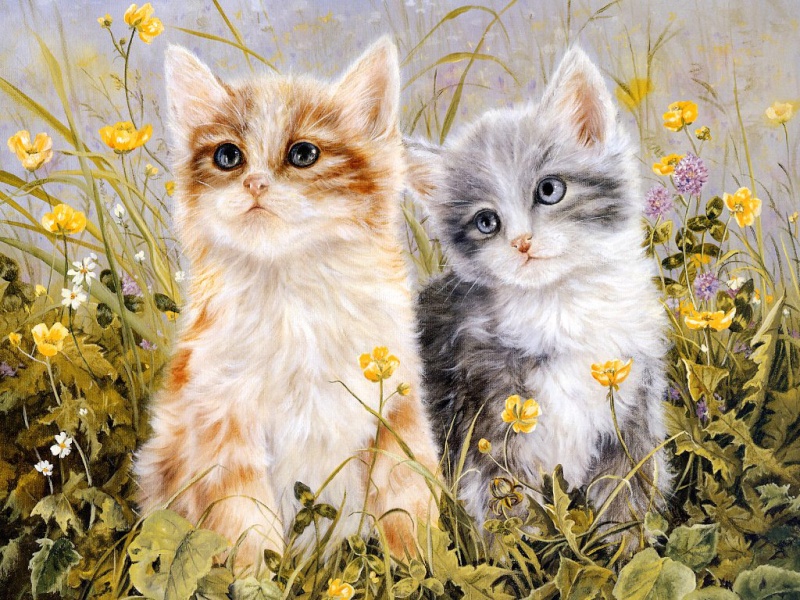 Нарисованные коты Cats-014