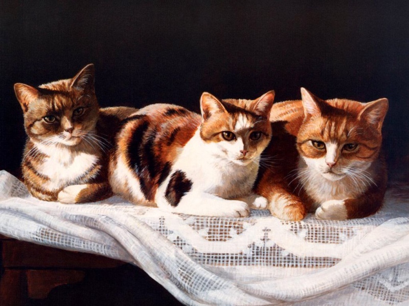 Нарисованные коты Cats-113