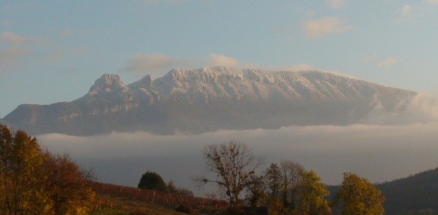 Baghera et Encko, en Savoie. Dsc01912