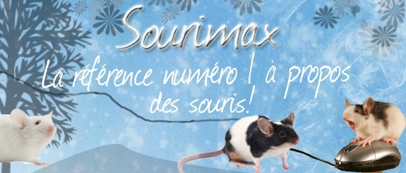 Sourimax - Tout sur les souris