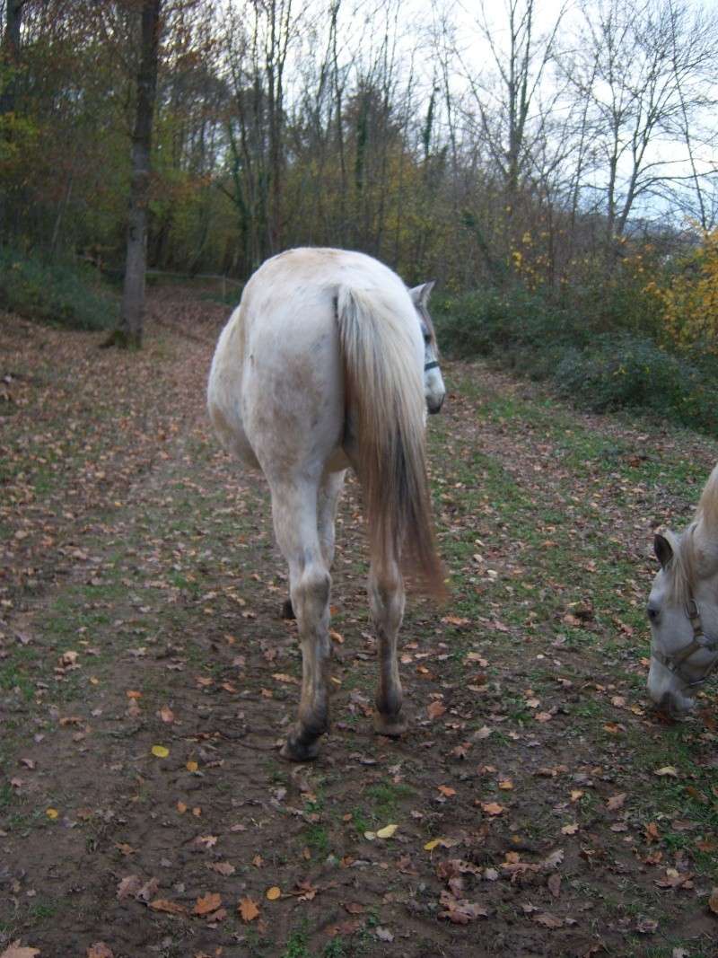 mon doudou 100_0911