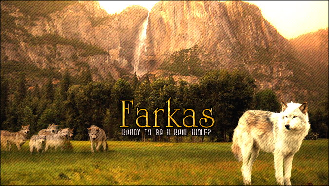 Farkas Farkas11