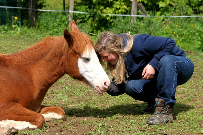 ♪♫♪♫ Trasholena Gun Song ♪♫♪♫  Calin_11