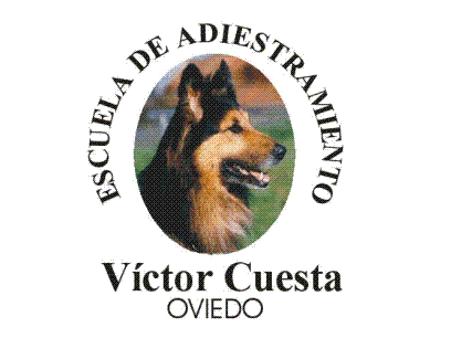 Escuela de Víctor Cuesta
