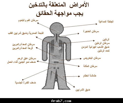 التدخين وآثاره الخطيرة  11848310