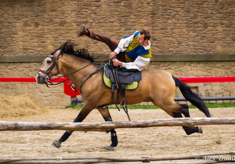 spectacle de chevaux au puy du fou!!! news photos P5097812