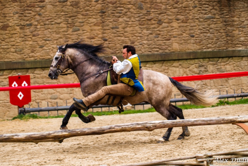 spectacle de chevaux au puy du fou!!! news photos P5097910