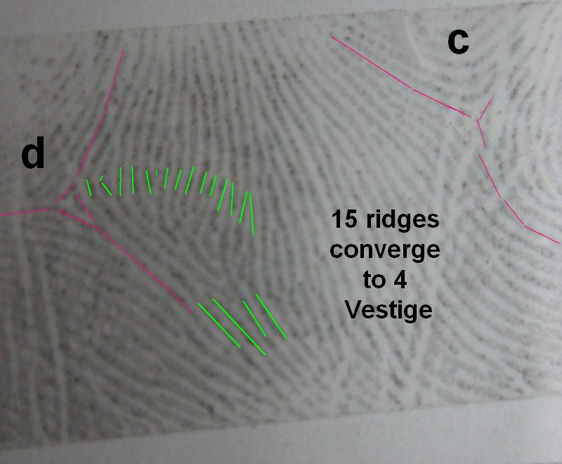 Is this a comb pattern or no pattern in mercury mount  - Page 3 Pictur16