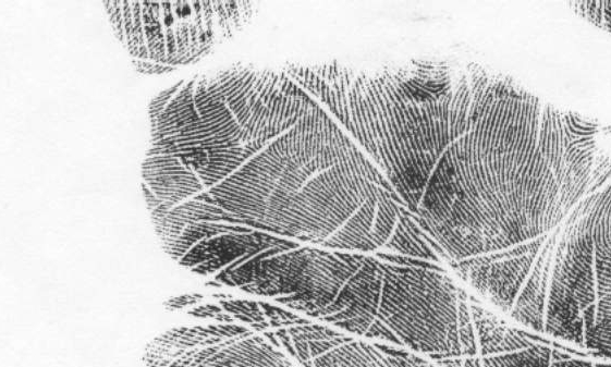 Is this a comb pattern or no pattern in mercury mount - Page 2 Vestig10