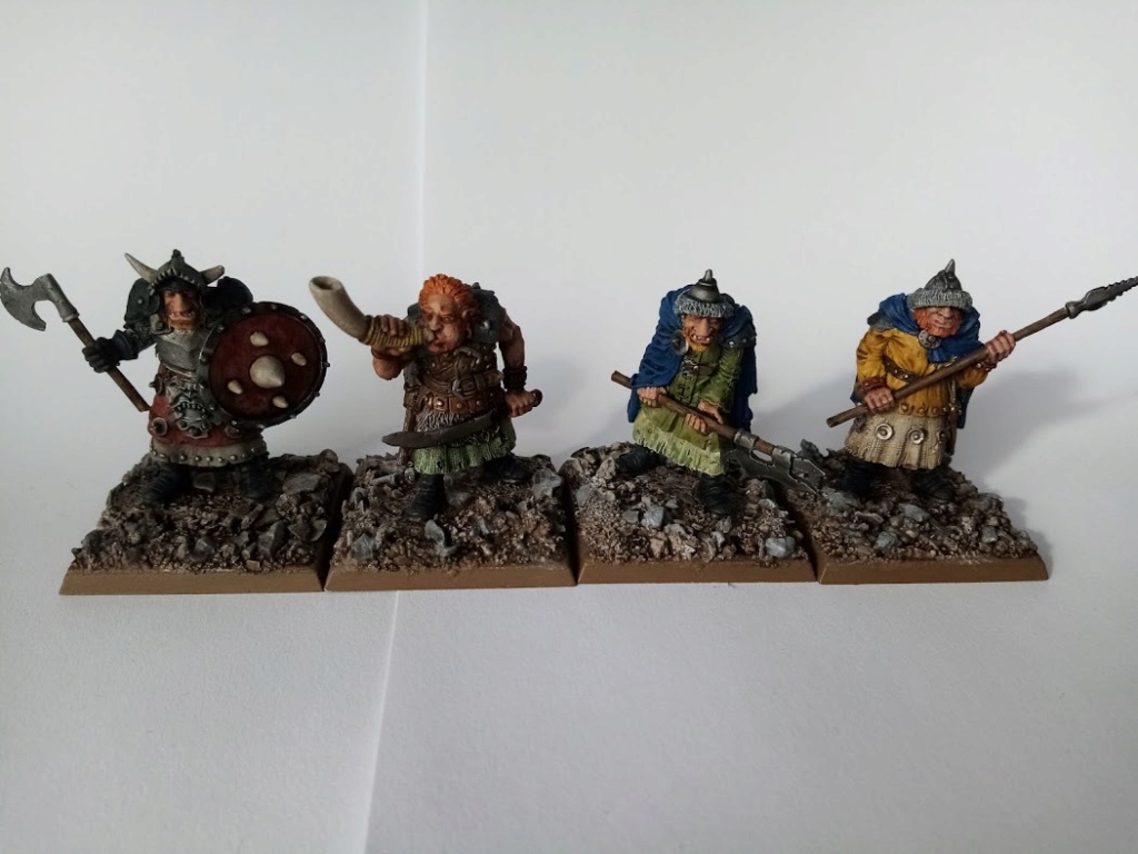 WIP Fussoir 2020 (Saga, Bolt Action, Warmachine, Dungeon Saga) Adm_og10