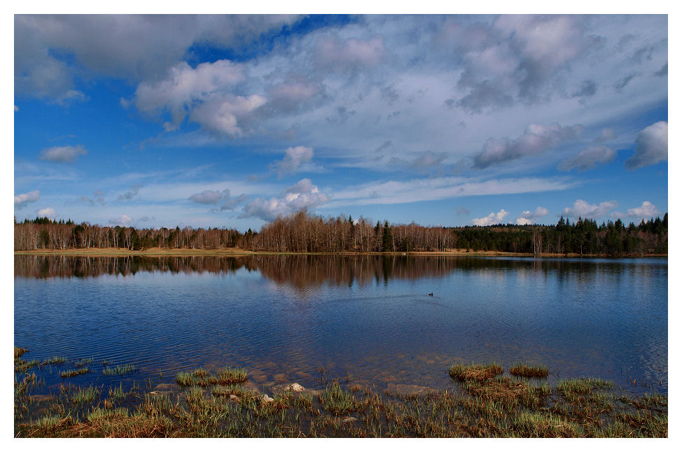 Le lac des Mortes Mortes11