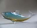 glass fish P1230423