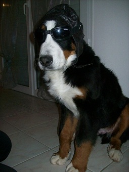 Humour 000_0010