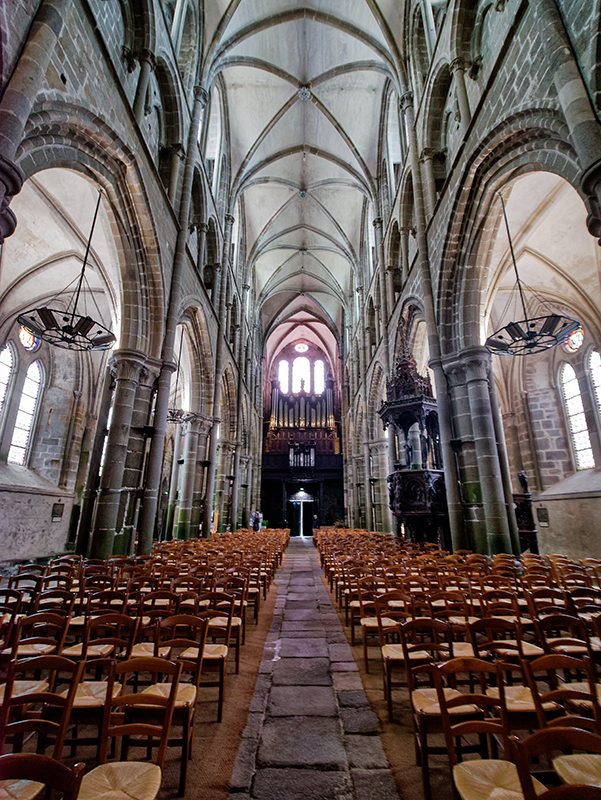 Cathédrale Saint-Samson de Dol-de-Bretagne, nef, autel et orgue P1010129