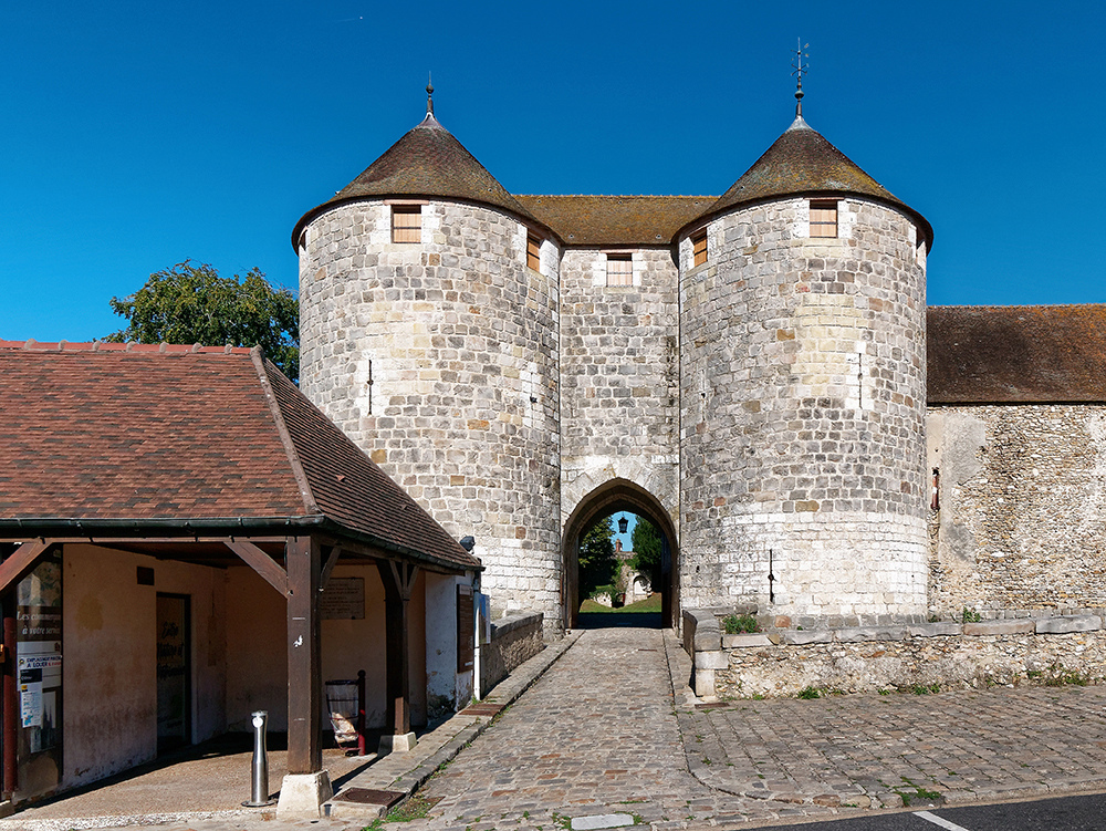 Château de Dourdan P1010429