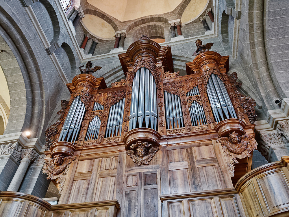 Cathédrale Notre-Dame du Puy-en-Velay, orgue P1090110
