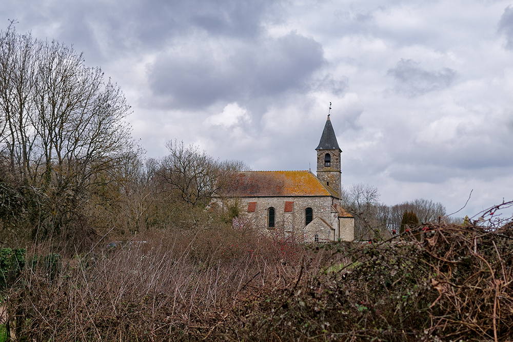 [Paysages] Eglise de Saint Yon P1100816