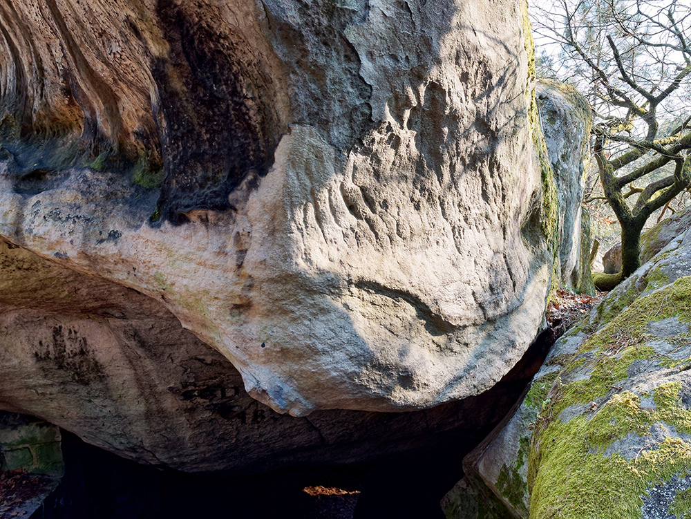 [Paysages] Rochers de Fontainebleau P1100838