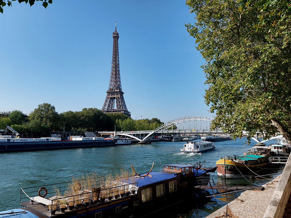 La tour, la Seine P1130414