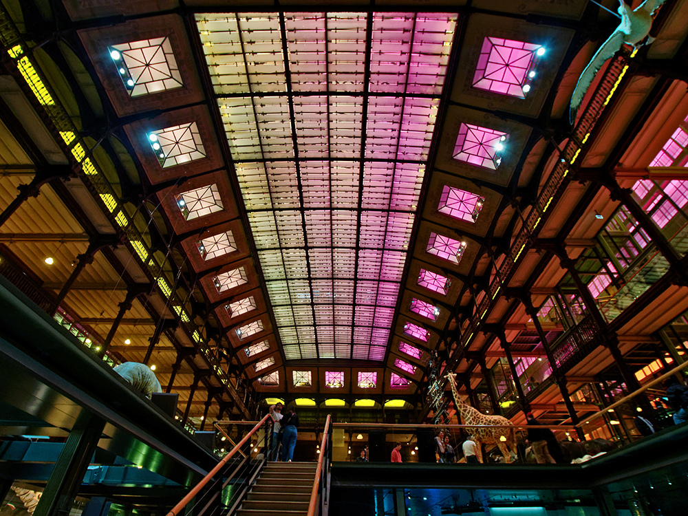 Galerie de l'évolution, plafond P2151711