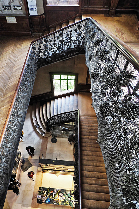 [Architecture_et_Graphisme]  ☞ Galerie de Paléontologie, escalier P4120017