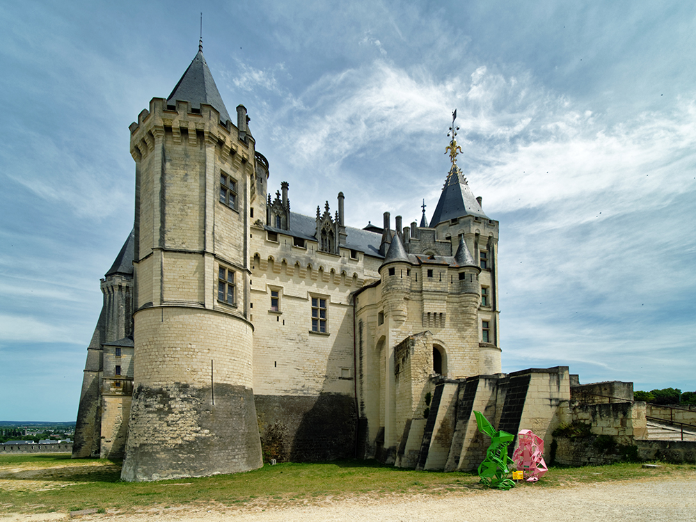 Château de Saumur 2 P5180710