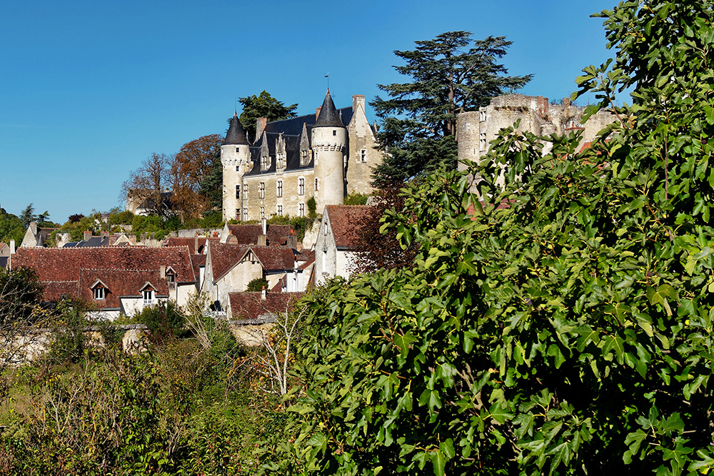 Château de Montrésor 2 P9221313