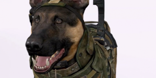 Call of Duty: Ghosts does NOT have a new engine Dog-5810