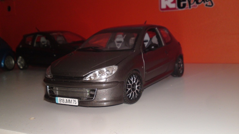 Peugeot 206 t-rc  07052010