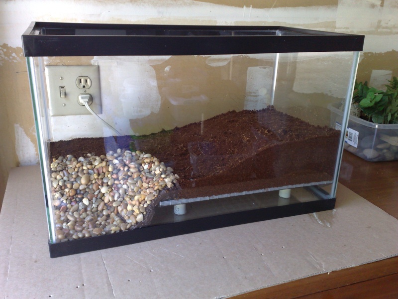 [HOW TO] False bottom Emperor enclosure with pool 04062010