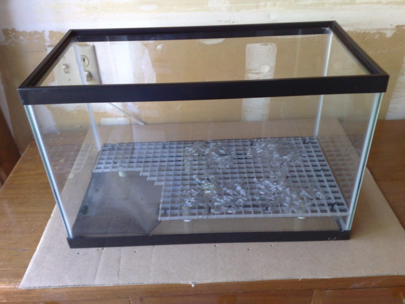 [HOW TO] False bottom Emperor enclosure with pool 29042014