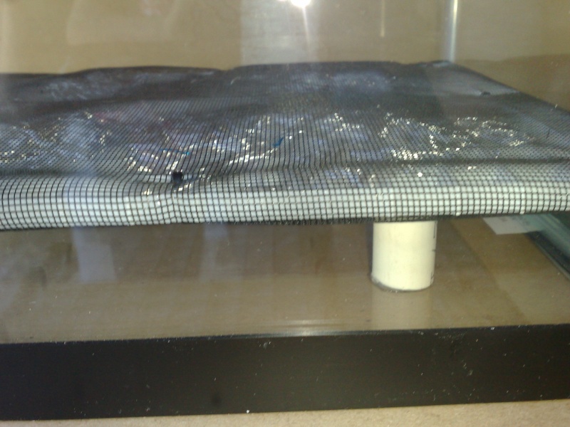 [HOW TO] False bottom Emperor enclosure with pool 29042015