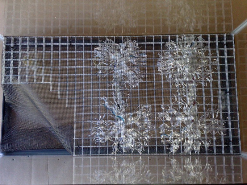 [HOW TO] False bottom Emperor enclosure with pool 29042016