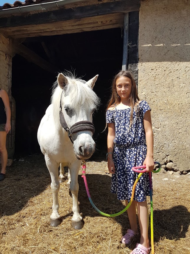 APACHE - ONC poney typé Shetland né en 1997- adopté en juillet 2015 par Claire 2020_842