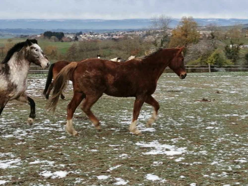 MONTIEGE (Pseudo Morgane) – SF née en 2000 – Adoptée en janvier 2022 par Marie 2021_130