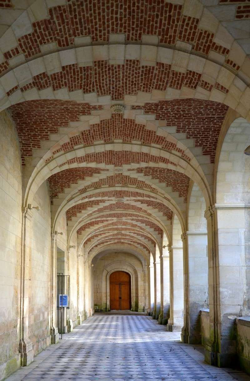 l'Abbaye Saint Martin Cloitr11