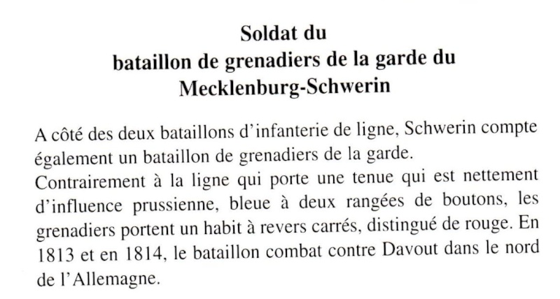 Grenadier de la Garde du Mecklenburg-Schwerin Img00310