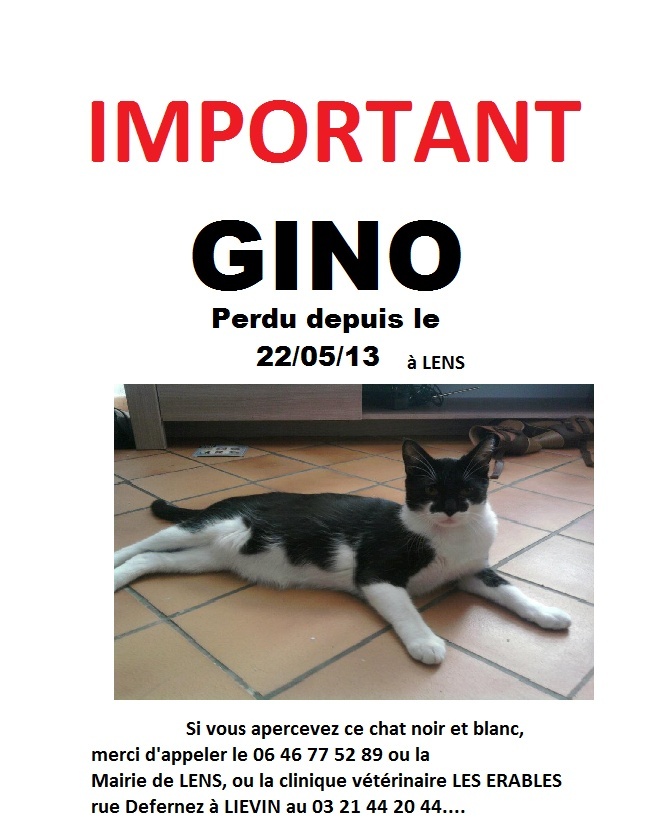 GINO Gino10
